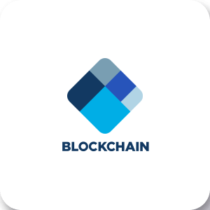 Custom blockchain application development gives a lot of new opportunities thanks to its popularity and secure decentralized nature.