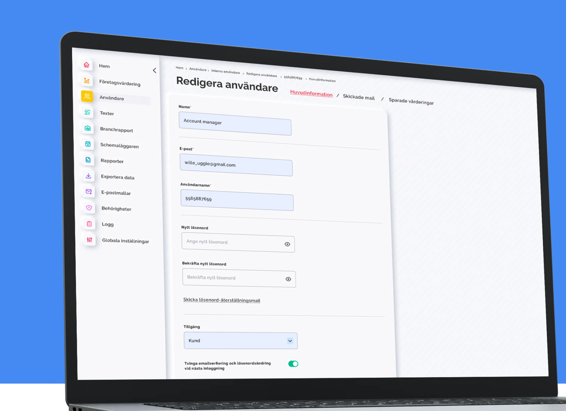 Financial statement software displayed on a laptop