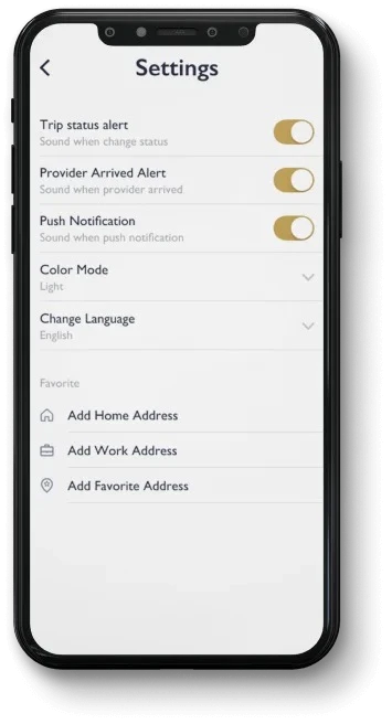Queen Car passenger trip settings screen