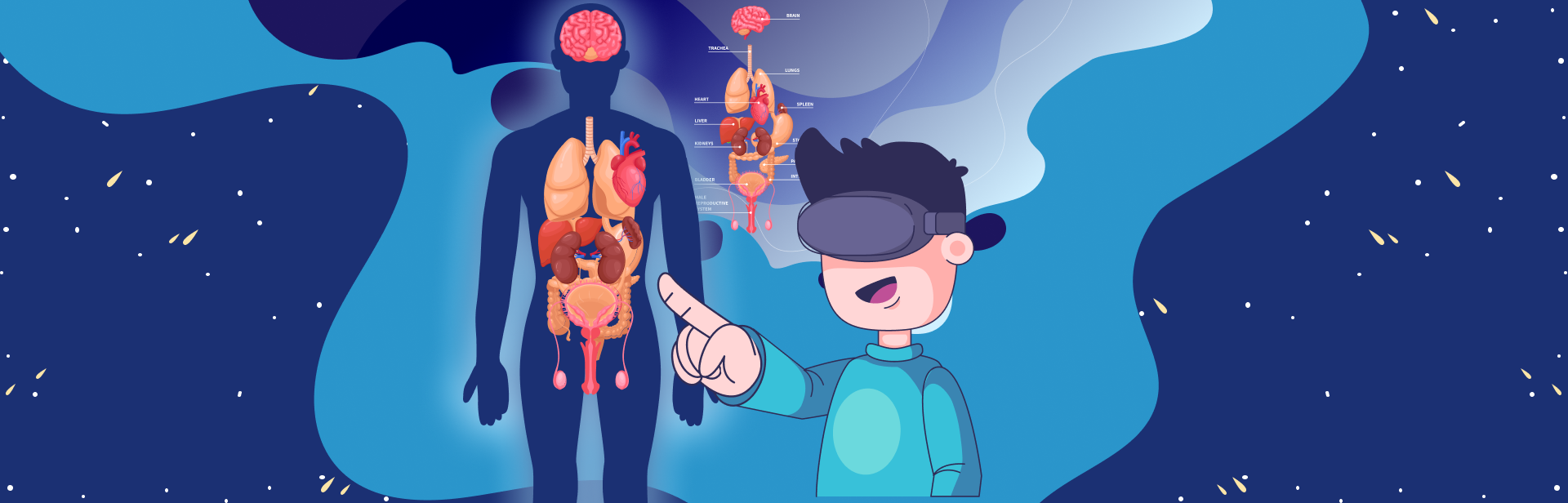 Virtual Reality in Medical Education System